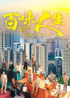 时光之河 电视剧海报