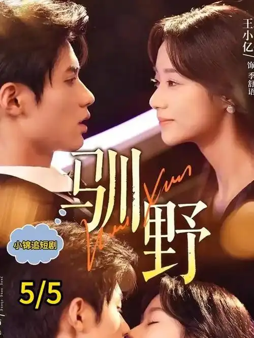我的老板 短剧海报
